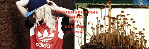 jwh Таштагол