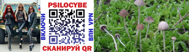 hydra рабочий сайт  Югорск  Галлюциногенные грибы MAGIC MUSHROOMS 