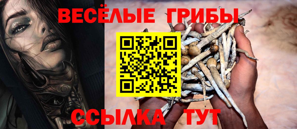 где продают наркотики  Вход с VPN  Галлюциногенные грибы Psilocybine cubensis  Югорск  Псилоцибиновые грибы Psilocybine cubensis 