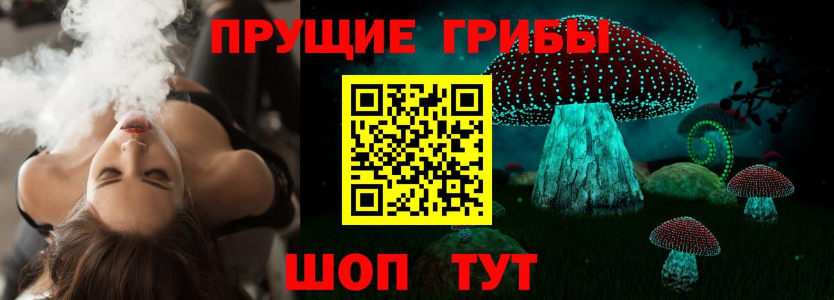 Псилоцибиновые грибы Psilocybe Югорск